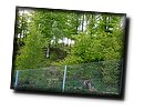 24h 2012 135.jpg