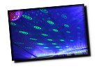 24h 12 267.JPG