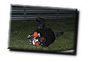 IMG_1901.JPG