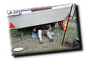 IMG_4977.JPG