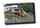 IMG_5118.JPG