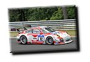 IMG_5795.JPG