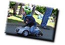 IMG_4249.JPG