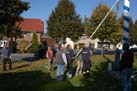 Baum 017
