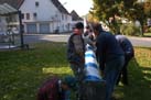 Baum 028