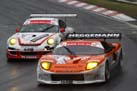 VLN 061